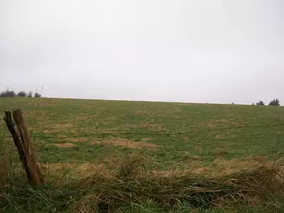 Maison neuve, 80 m²