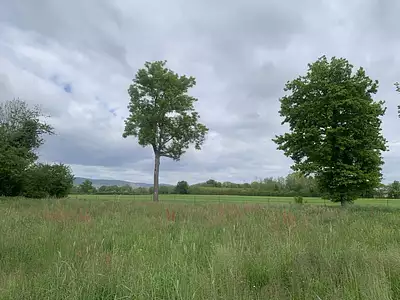 Maison neuve, 130 m²
