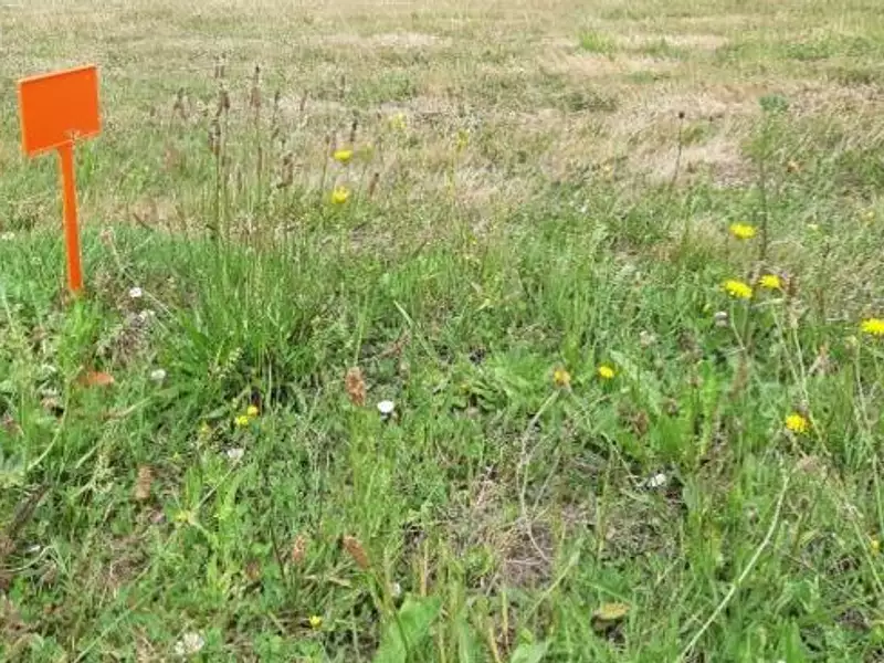 Terrain à bâtir, 350 m² - Chaumes-en-Retz (44320)