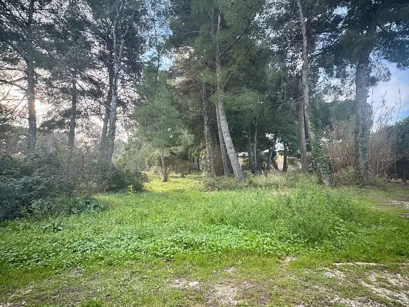 Terrain à bâtir, 659 m² - Saint-Chamas (13250)