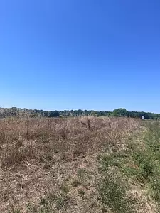 Maison neuve, 60 m²