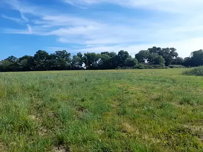 Terrain à bâtir, 545 m²