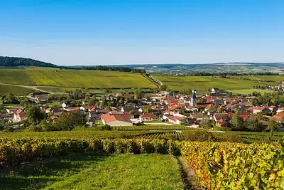 Maison neuve, 100 m²