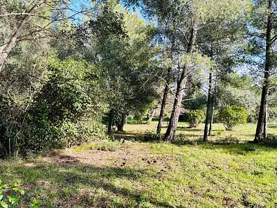 Terrain à bâtir, 790 m²