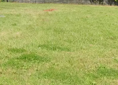 Maison neuve, 90 m²