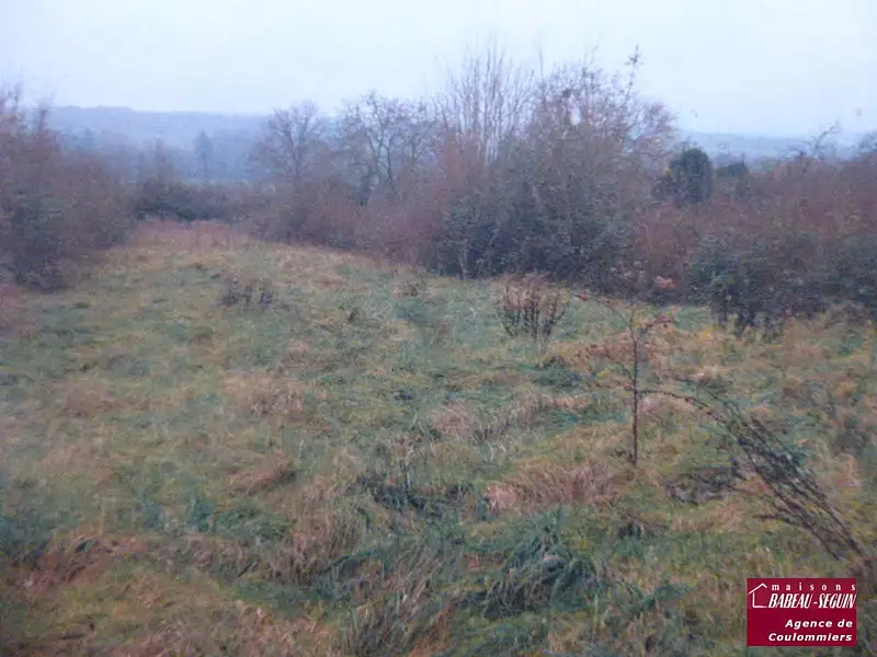 Terrain à bâtir, 882 m² - Boissy-le-Châtel (77169)