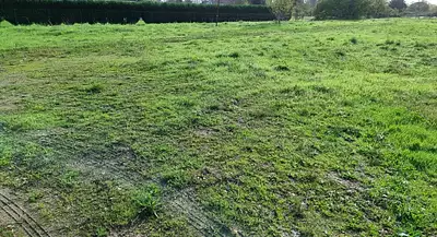 Maison neuve, 84 m²