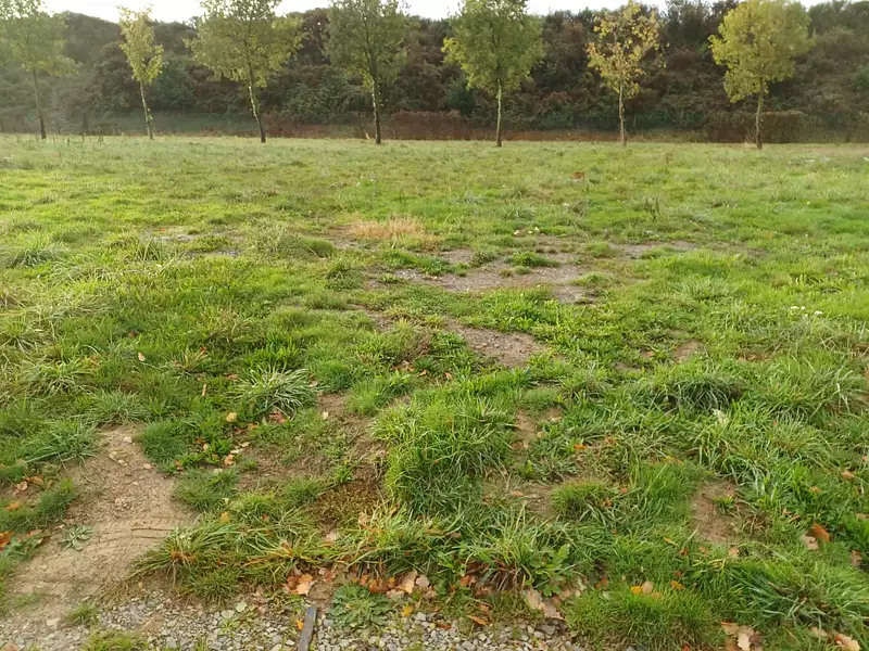 Terrain à bâtir, 549 m² - Lécousse (35133)