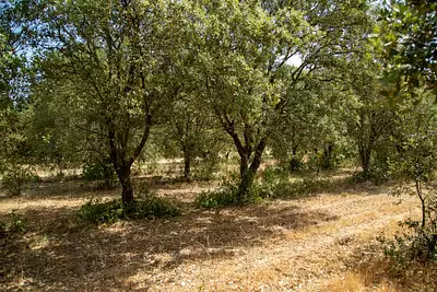 Terrain à bâtir, 653 m²