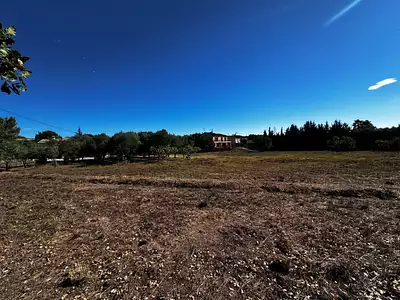 Maison neuve, 110 m²