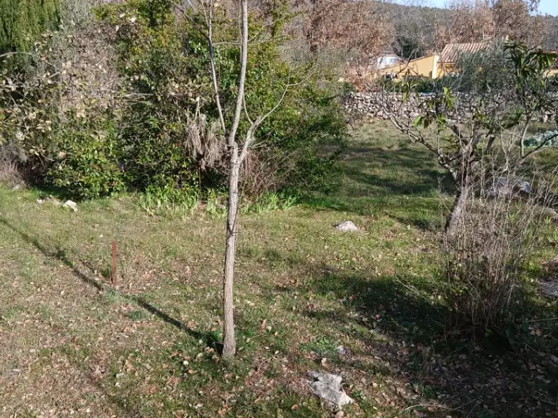 Terrain à bâtir, 800 m² - Garéoult (83136)