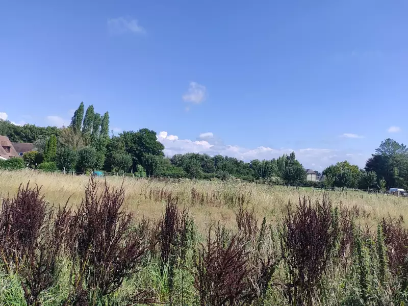 Maison neuve, 98 m² - Saint-Martin-aux-Chartrains (14130)