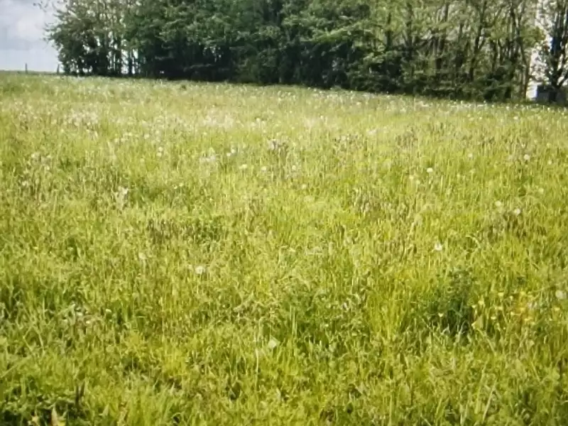 Terrain à bâtir, 870 m² - Charroux (86250)