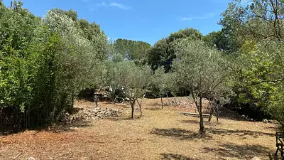 Maison neuve, 90 m²