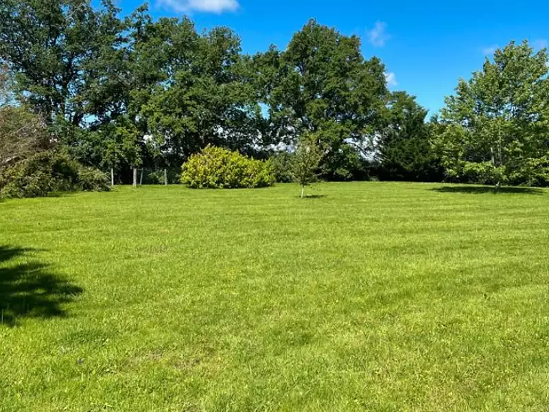 Maison neuve, 130 m² - La Chapelle-du-Châtelard (01240)