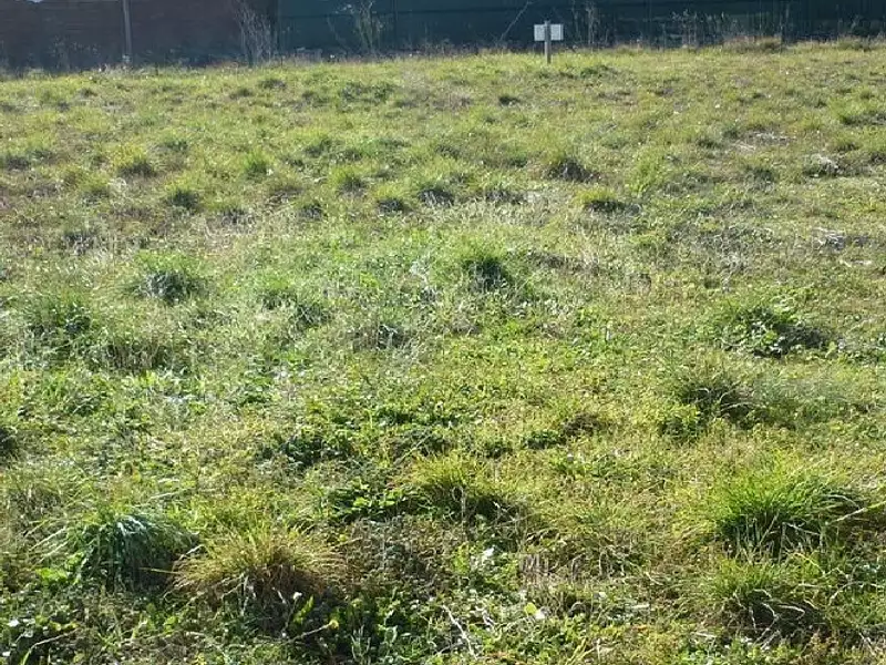 Terrain à bâtir, 680 m² - Trausse (11160)