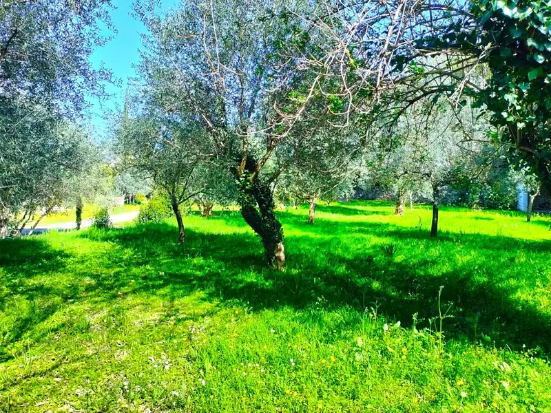 Terrain à bâtir, 1 000 m² - Draguignan (83300)