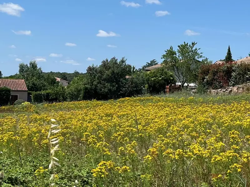 Maison neuve, 83 m² - Arthès (81160)