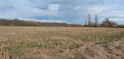 Terrain à bâtir, 597 m²