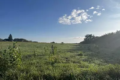Terrain à bâtir, 1 123 m²