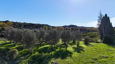 Terrain à bâtir, 1 500 m²
