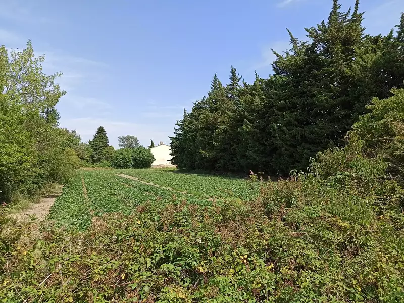 Maison neuve, 75 m² - Sénas (13560)