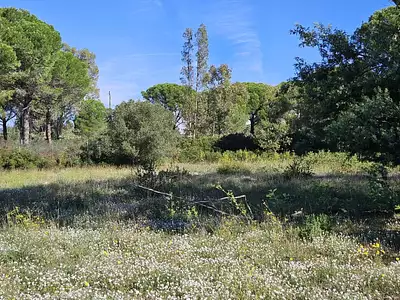 Maison neuve, 73 m²