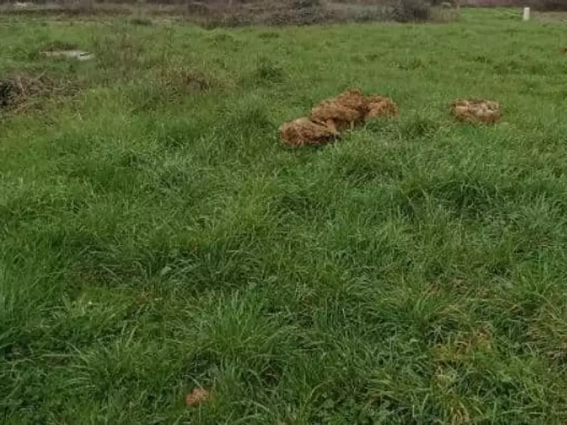 Terrain à bâtir, 597 m² - Villeneuve-en-Retz (44580)