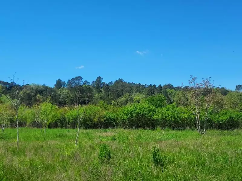 Terrain à bâtir, 1 000 m² - Tourves (83170)