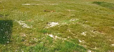 Terrain à bâtir, 371 m²