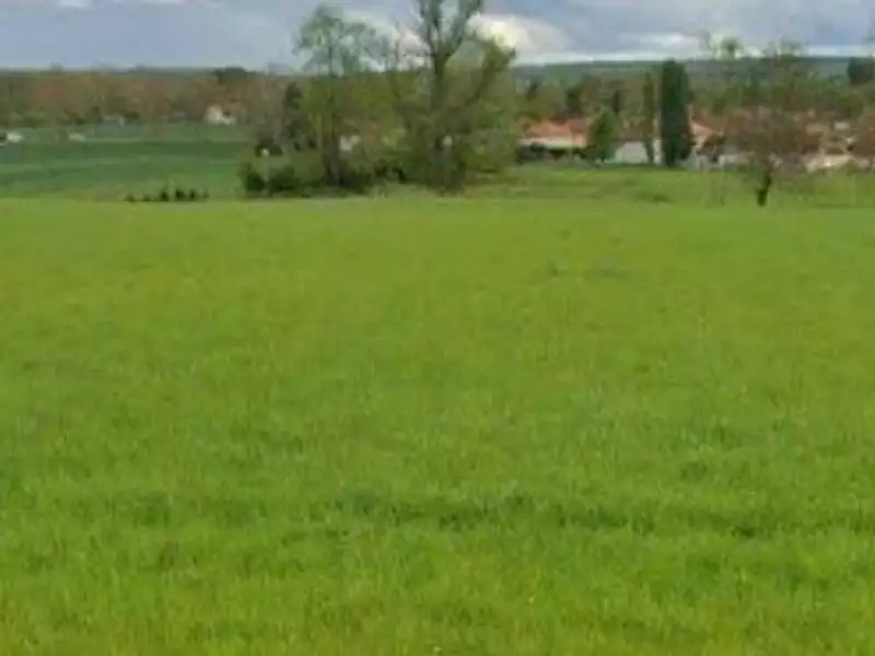 Terrain à bâtir, 920 m² - Appoigny (89380)