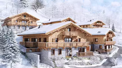 LES CHALETS DE JAYSINIA
