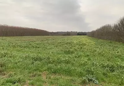 Terrain à bâtir, 422 m²