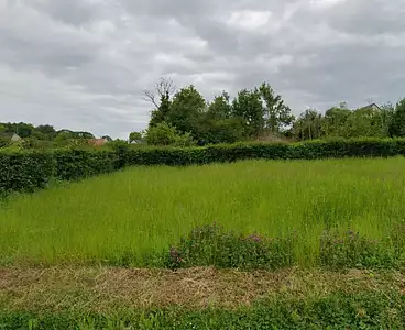 Terrain à bâtir, 1 000 m²