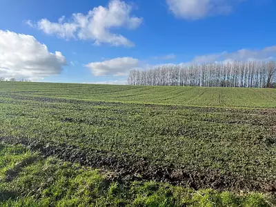 Maison neuve, 113 m²