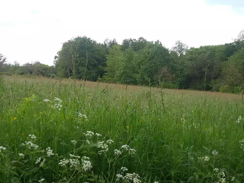 Terrain à bâtir, 3 700 m² - Saint-Jean-d'Ataux (24190)