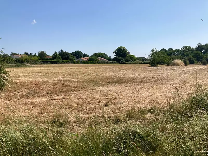 Maison neuve, 85 m² - Corme-Ecluse (17600)