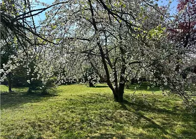 Terrain à bâtir, 415 m²