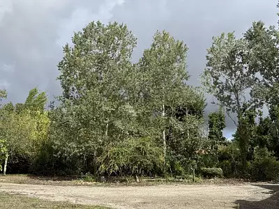 Terrain à bâtir, 551 m²