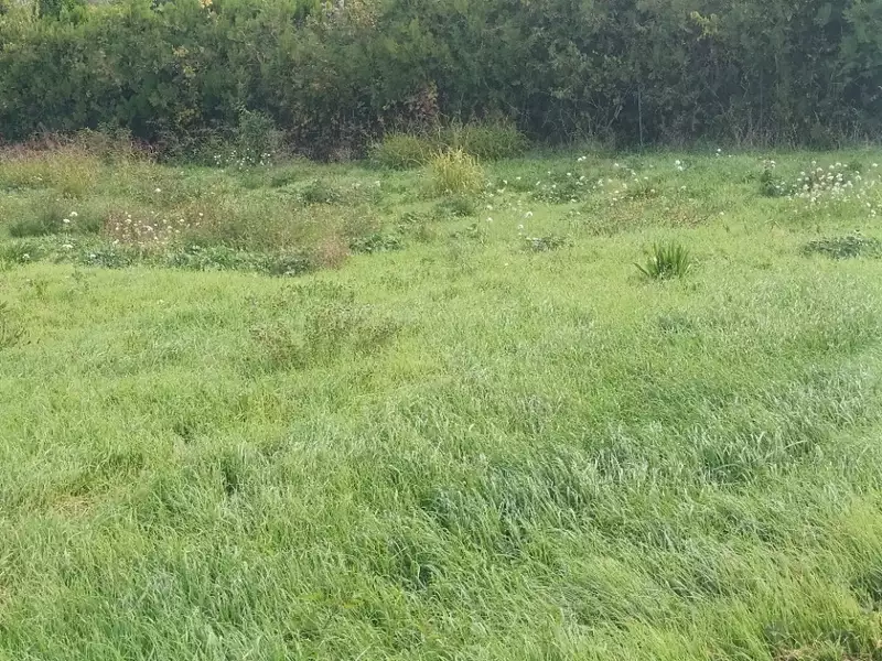 Terrain à bâtir, 338 m² - Pertuis (84120)