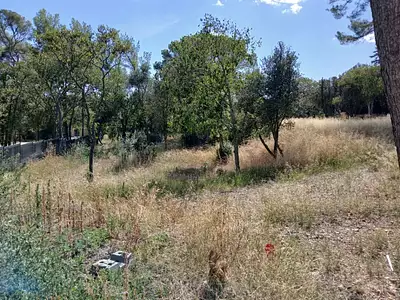 Terrain à bâtir, 901 m²