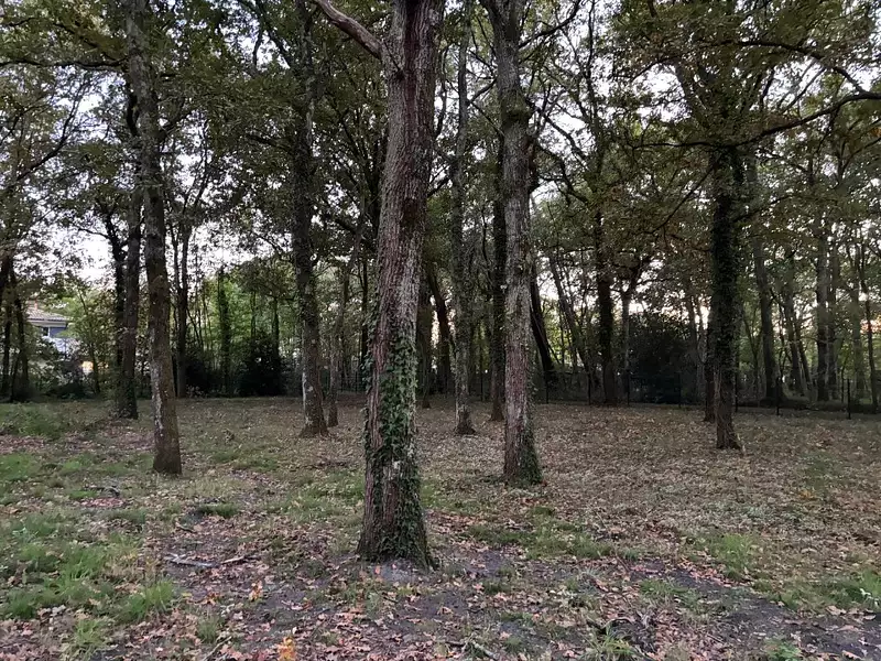 Terrain à bâtir, 720 m² - Andernos-les-Bains (33510)