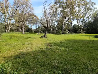 Maison neuve, 115 m²