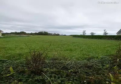 Maison neuve, 130 m²