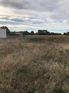 Terrain à bâtir, 715 m²