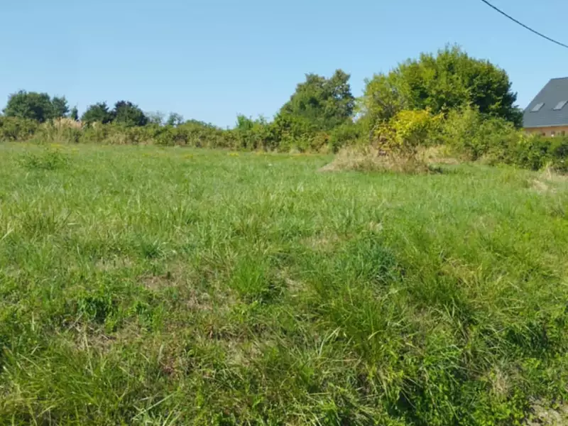 Maison neuve, 95 m² - Allériot (71380)