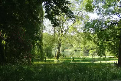 LE DOMAINE VEIL PICARD