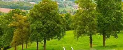 Maison neuve, 73 m²