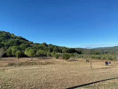 Terrain à bâtir, 310 m²