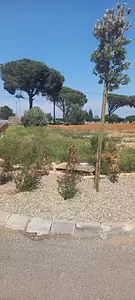 Terrain à bâtir, 620 m²